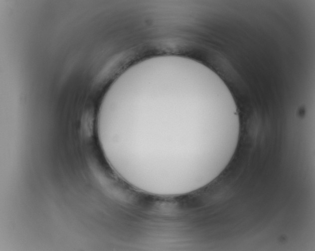 X0000113930694200910161851