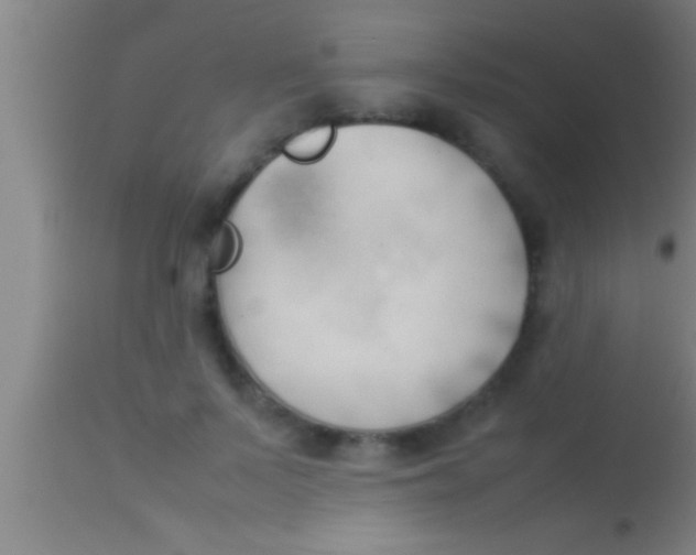 X0000113930695200910161851