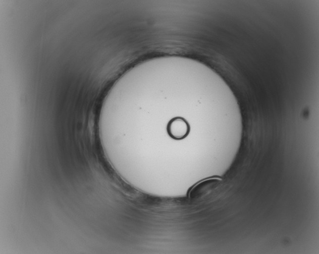 X0000113930696200910161851