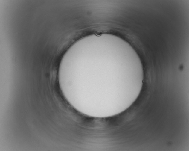 X0000113930697200910161851