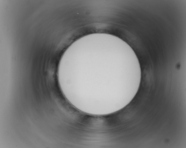 X0000113930698200910161851