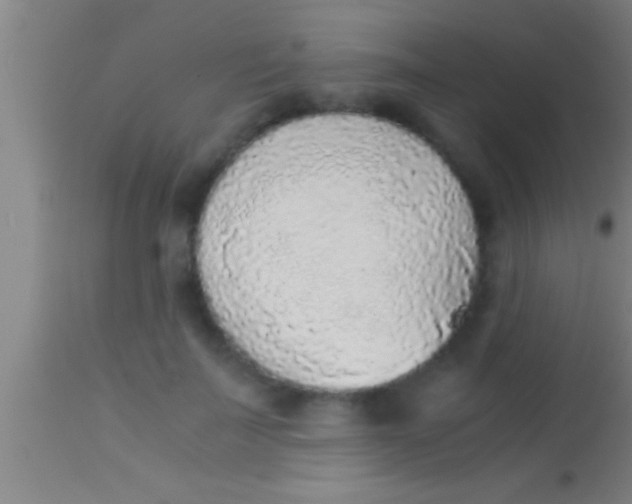 X0000113930699200910161851