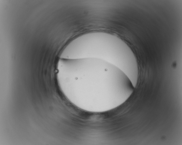 X0000113930700200910161851