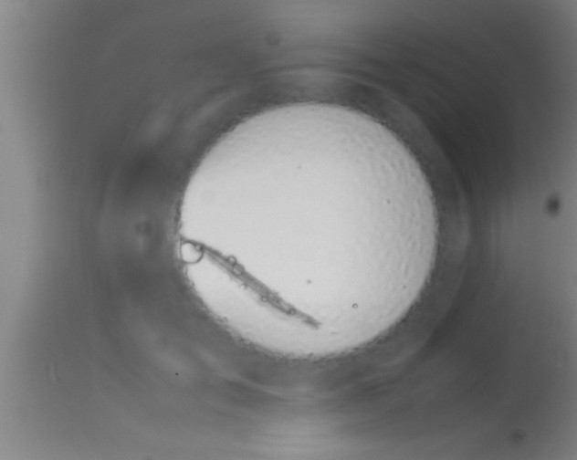 X0000113930701200910161851