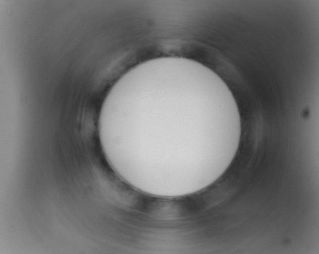 X0000113930702200910161851