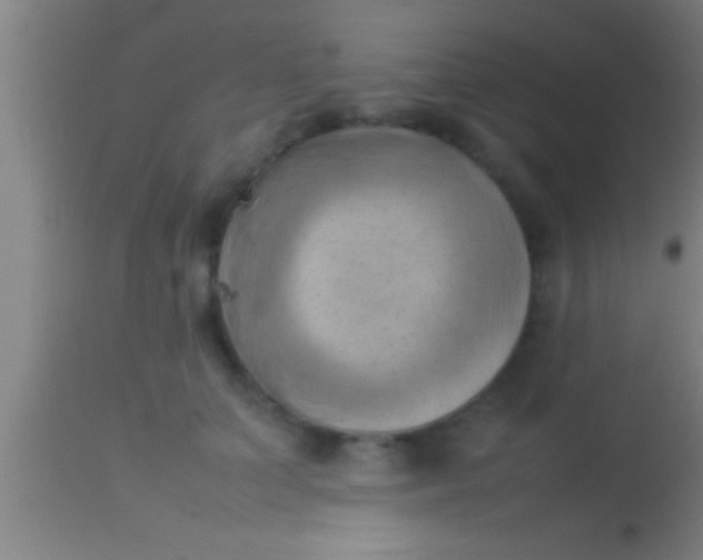 X0000113930703200910161851