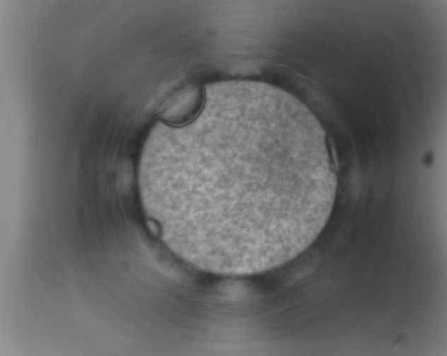 X0000113930704200910161851