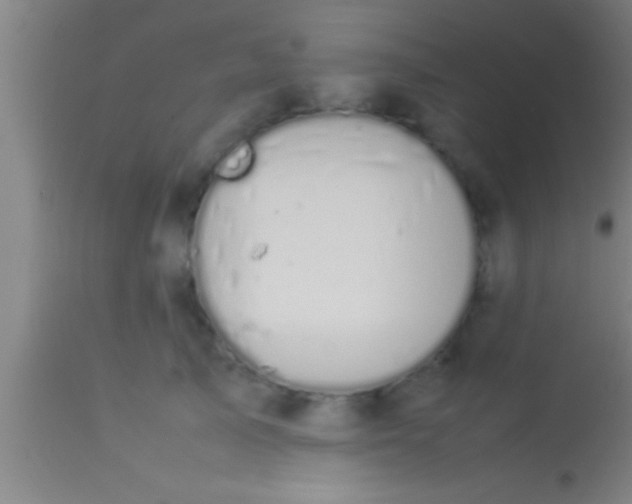 X0000113930705200910161851