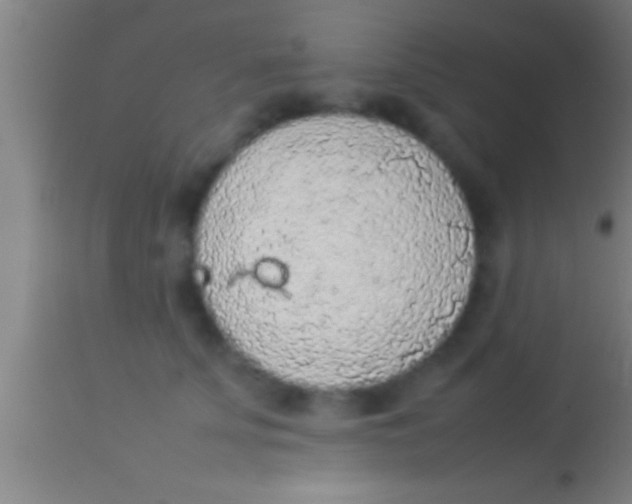 X0000113930707200910161851