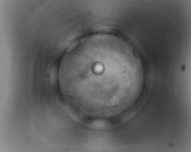 X0000113930708200910161851