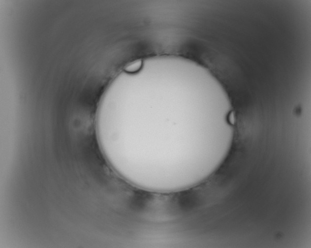 X0000113930709200910161851