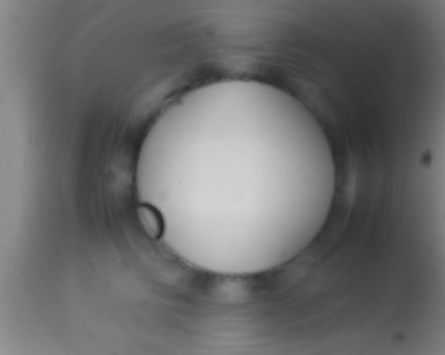 X0000113930710200910161851