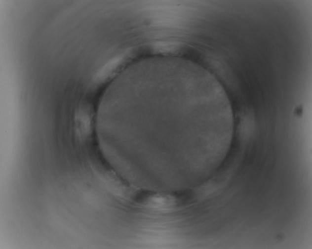 X0000113930712200910161851