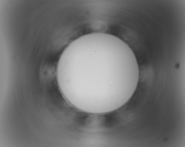 X0000113930713200910161851