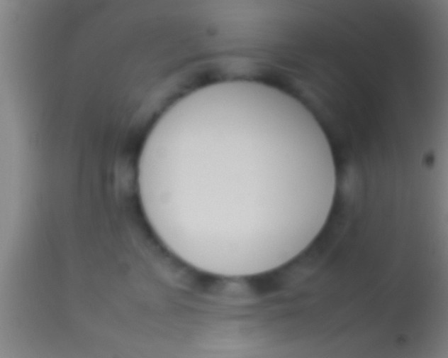 X0000113930715200910161851