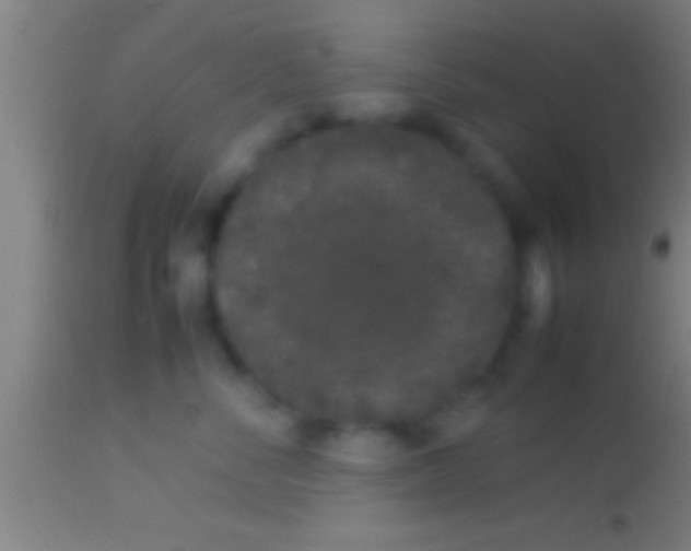 X0000113930716200910161851