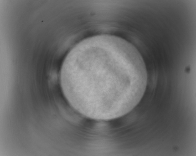 X0000113930718200910161851