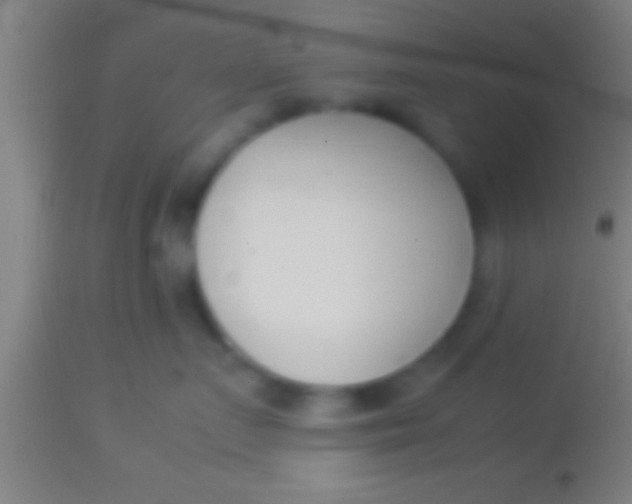 X0000113930719200910161851