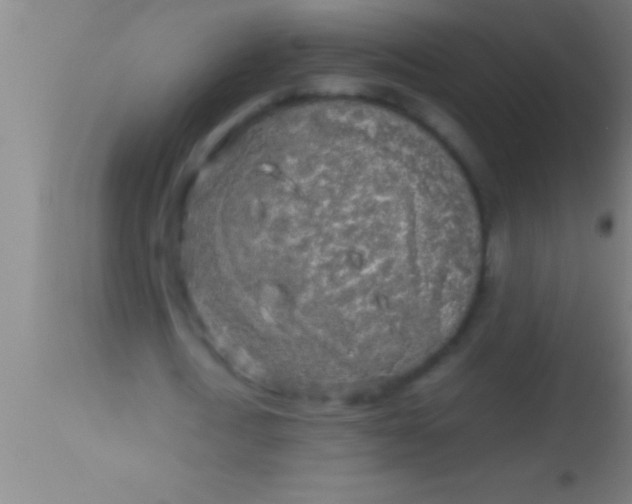 X0000113930722200910161850