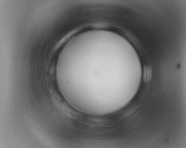 X0000113930723200910161850