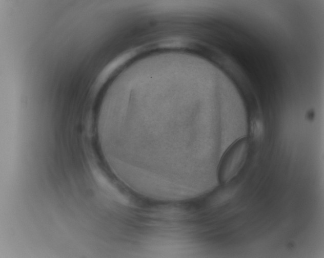 X0000113930724200910161850