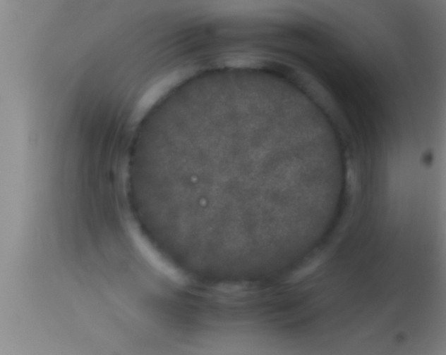 X0000113930725200910161850