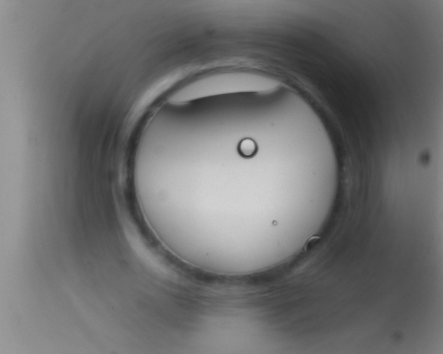 X0000113930726200910161850