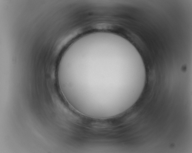 X0000113930727200910161850