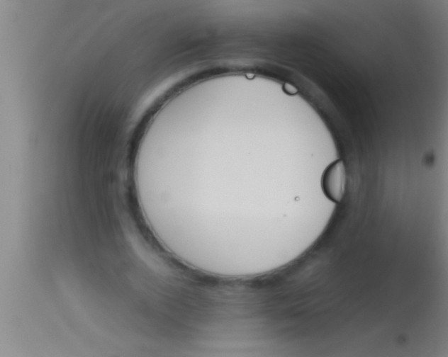 X0000113930728200910161850