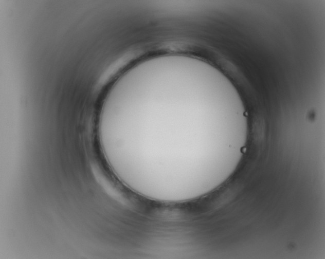 X0000113930730200910161850