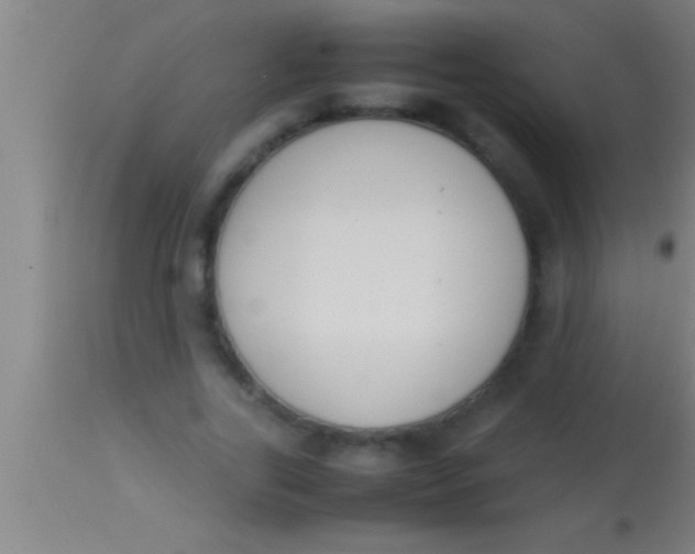 X0000113930731200910161850