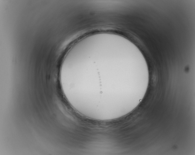 X0000113930732200910161850