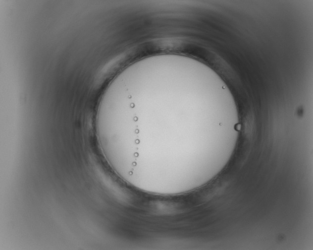 X0000113930733200910161850