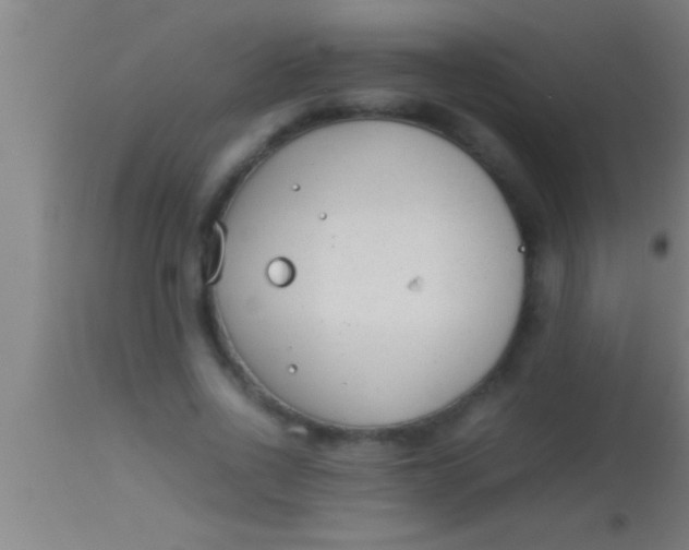 X0000113930734200910161850