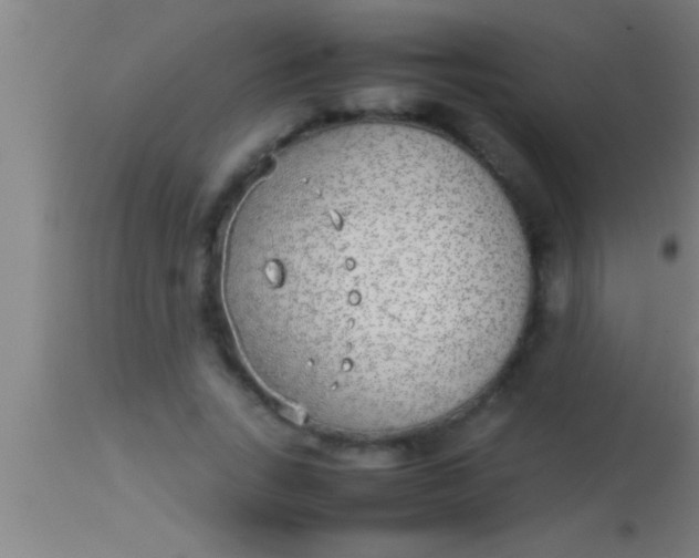 X0000113930735200910161850