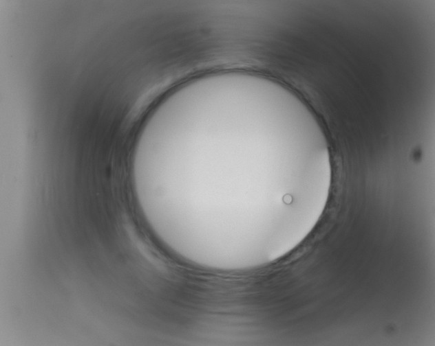 X0000113930736200910161851