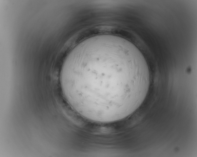 X0000113930737200910161851