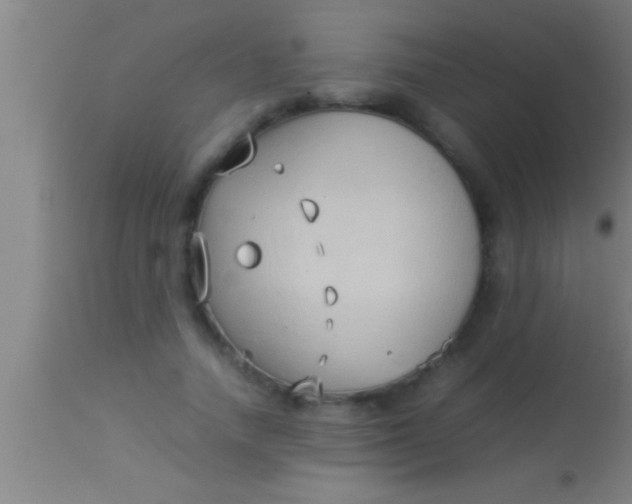 X0000113930738200910161851