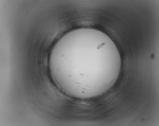 X0000113930739200910161851