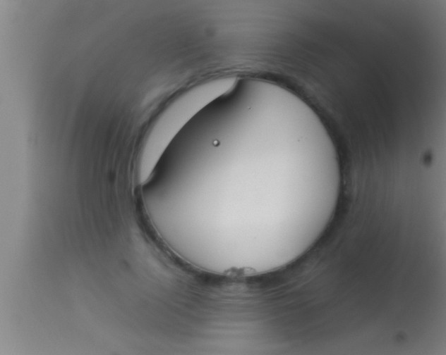 X0000113930740200910161851