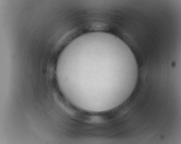 X0000113930741200910161851