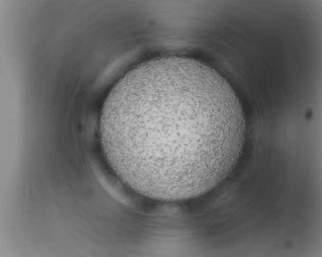 X0000113930742200910161851