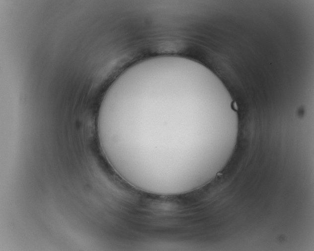 X0000113930743200910161851