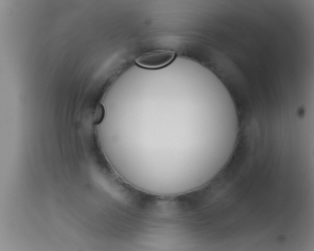 X0000113930744200910161851