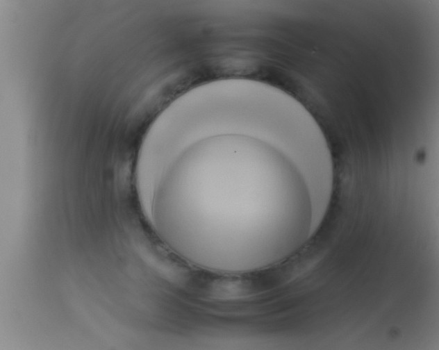 X0000113930745200910161851