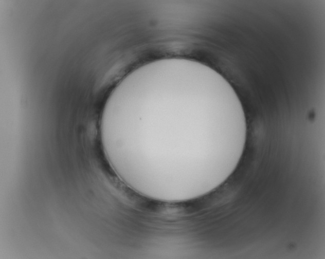 X0000113930746200910161851