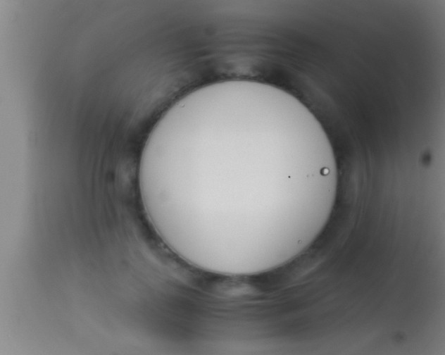 X0000113930747200910161851