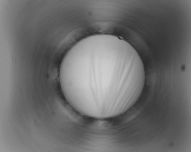 X0000113930748200910161851