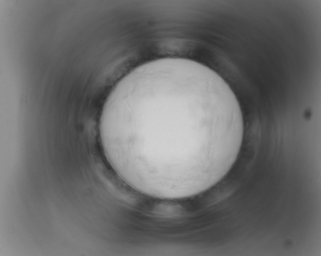 X0000113930749200910161851