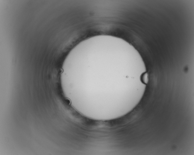 X0000113930750200910161851